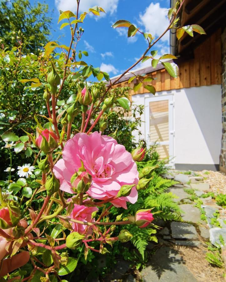 Ferienhaus Eifelrose Зимерат Екстериор снимка