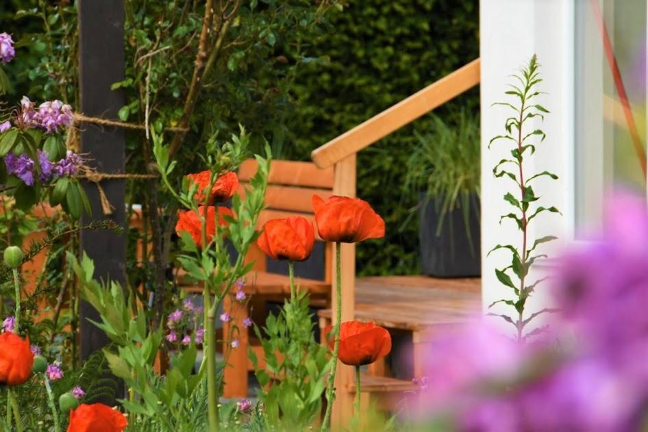 Ferienhaus Eifelrose Зимерат Екстериор снимка