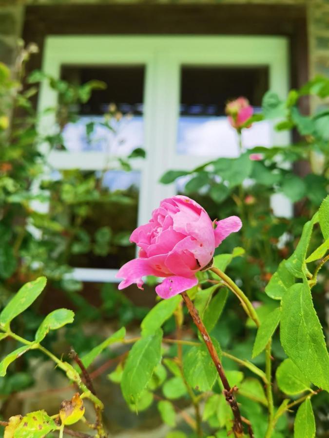 Ferienhaus Eifelrose Зимерат Екстериор снимка